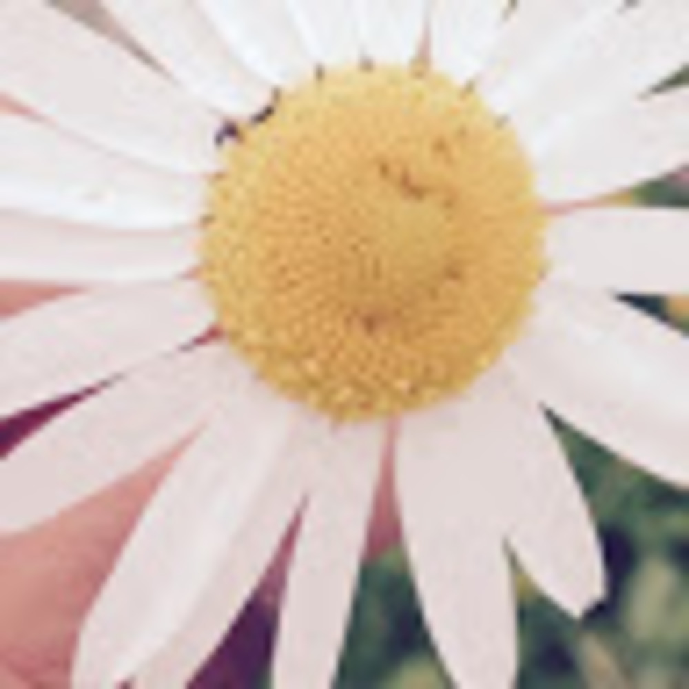 Meet your Posher, Zoë